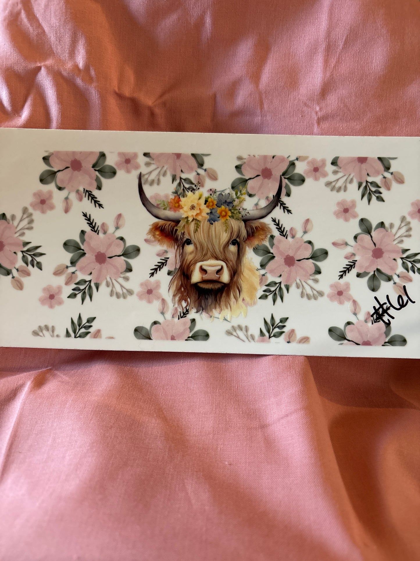 Highland cow