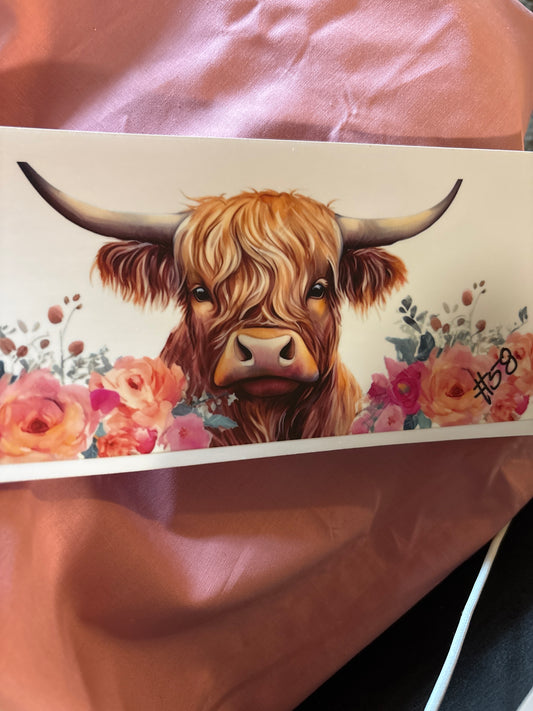 Highland cow