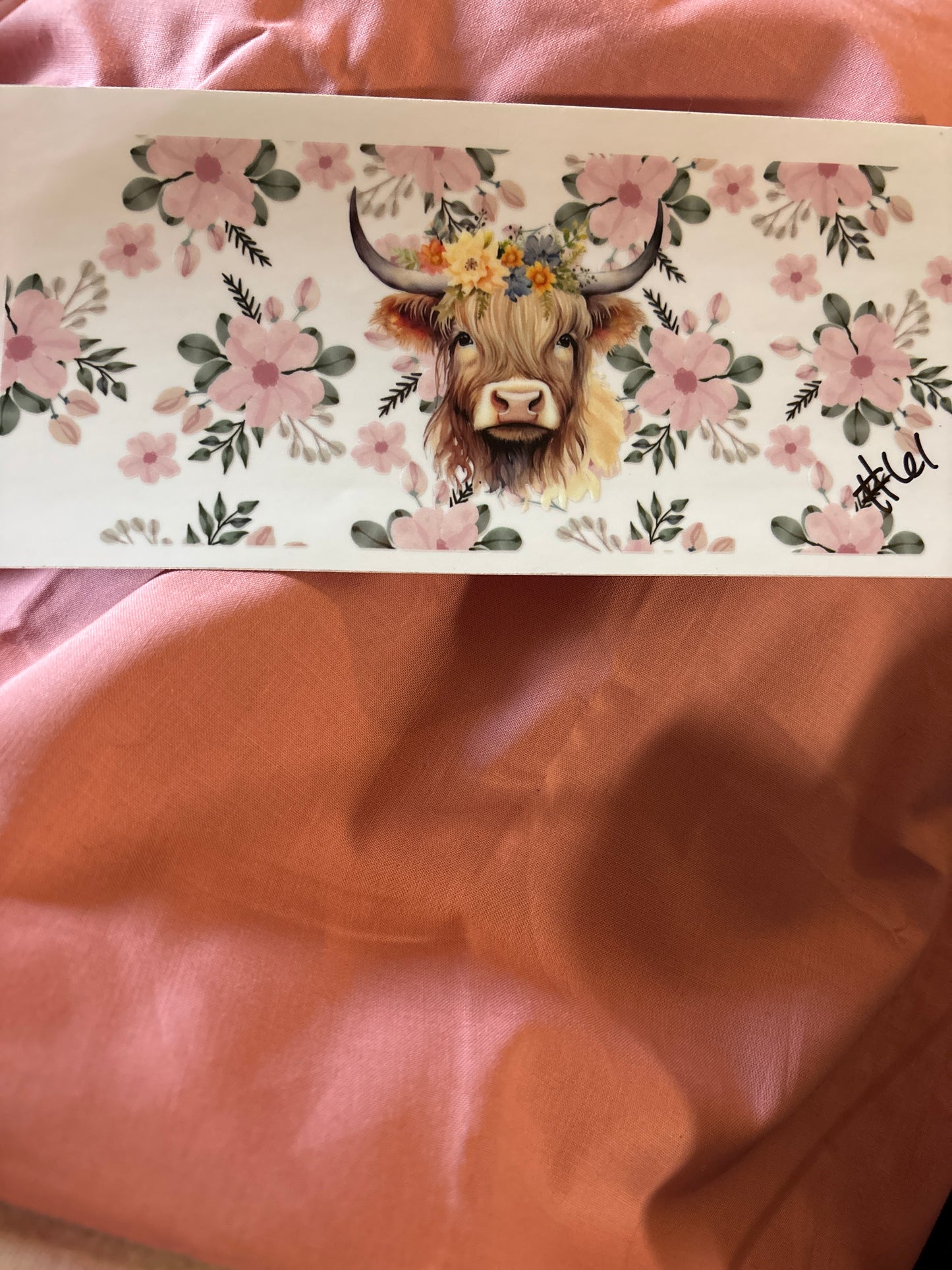 Highland cow